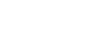 IVA Mentorship