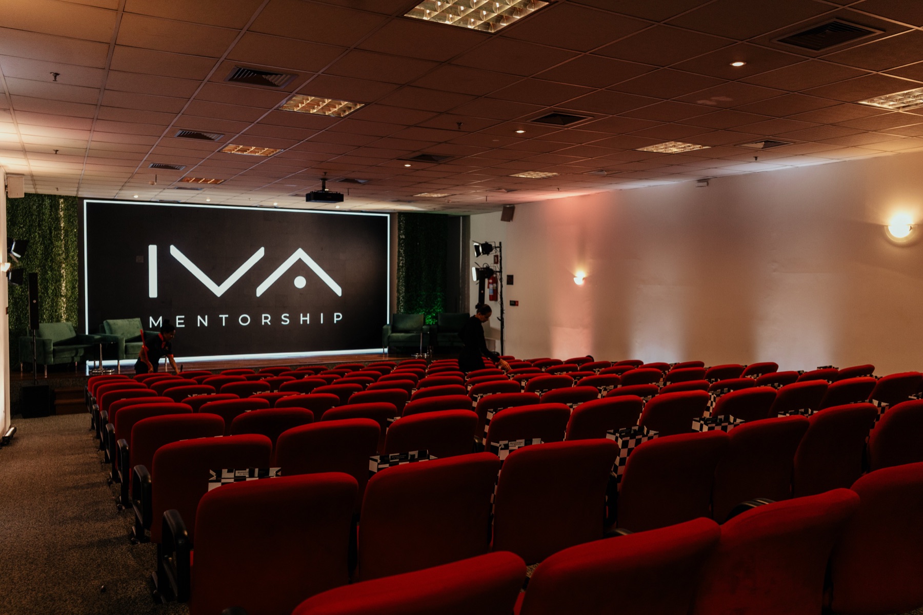 IVA Mentorship